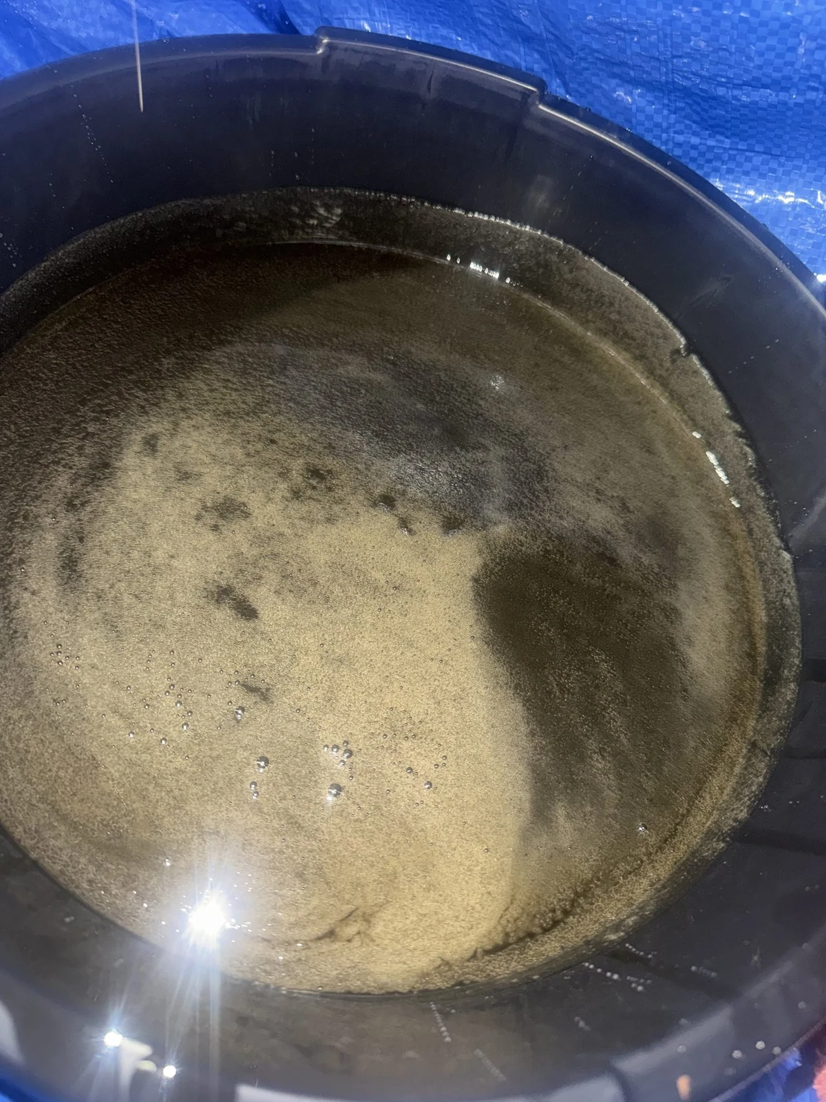 Drained engine oil in a pan that looks tan and milky